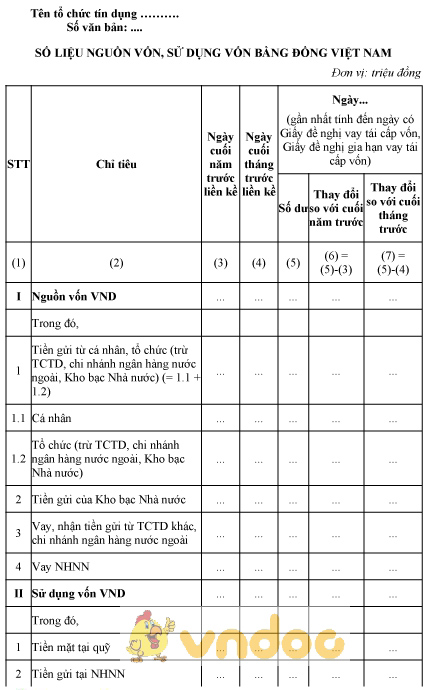 Mẫu số liệu nguồn vốn, sử dụng vốn bằng đồng Việt Nam